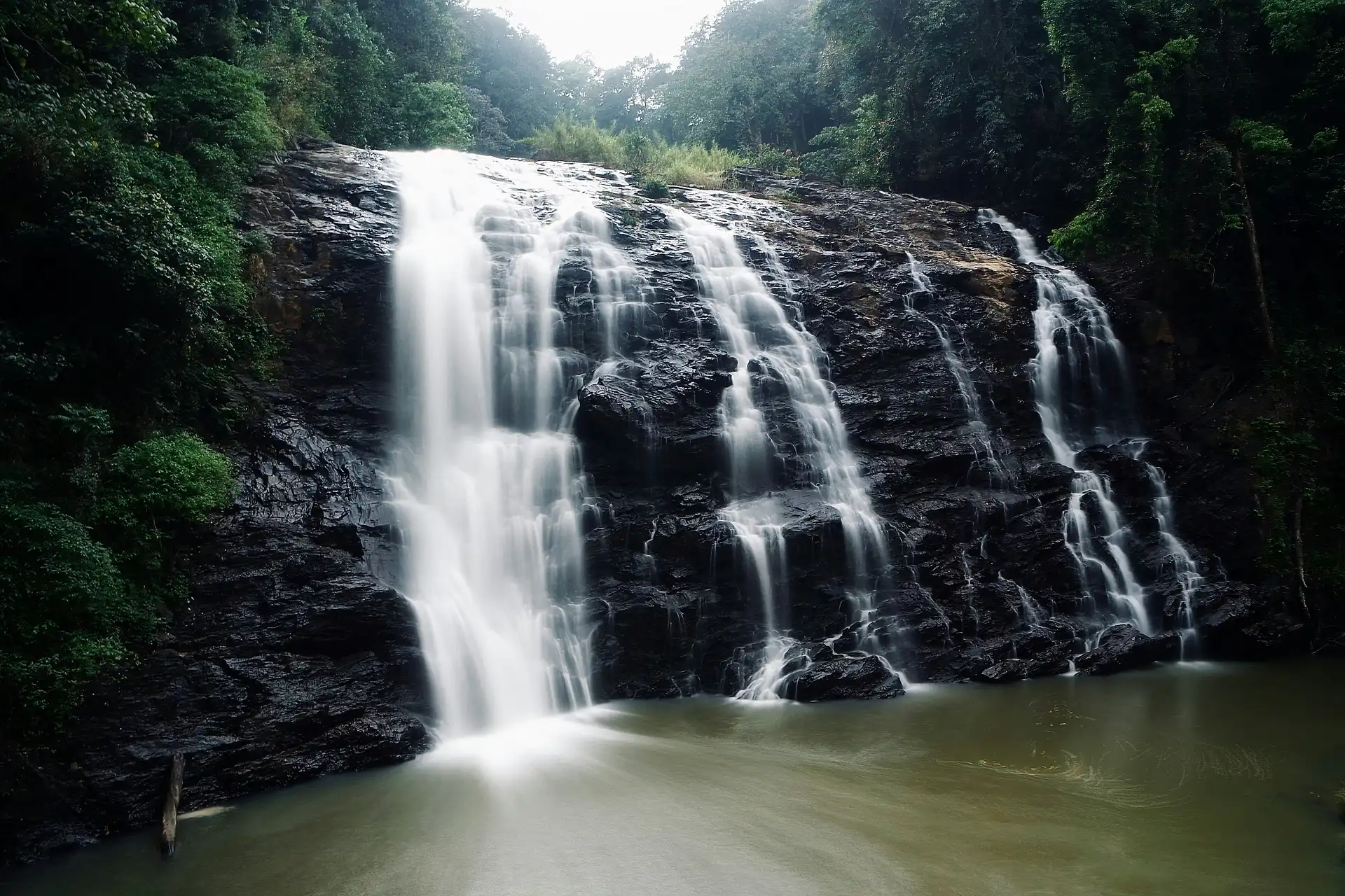 Coorg coffee plantations and misty hills in Karnataka