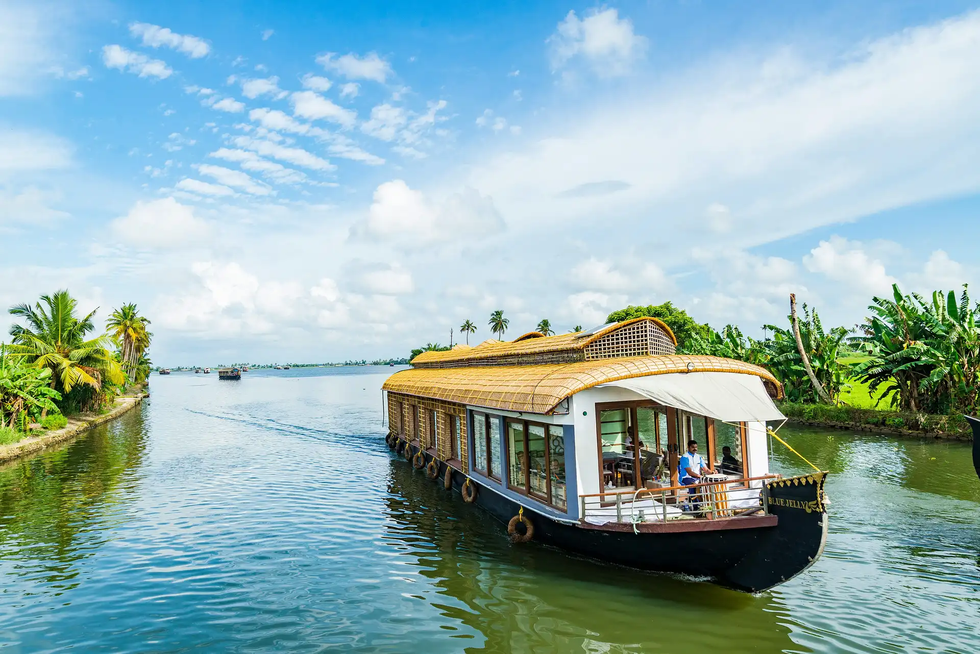 Kerala backwaters with a traditional houseboat among palm trees