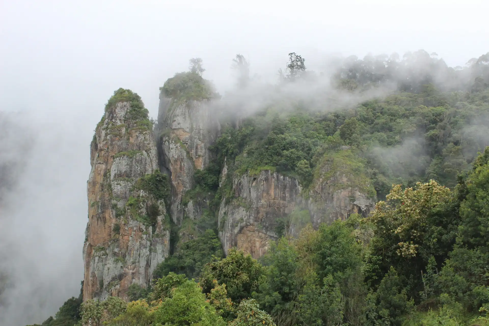 Kodaikanal star-shaped lake surrounded by pine forest