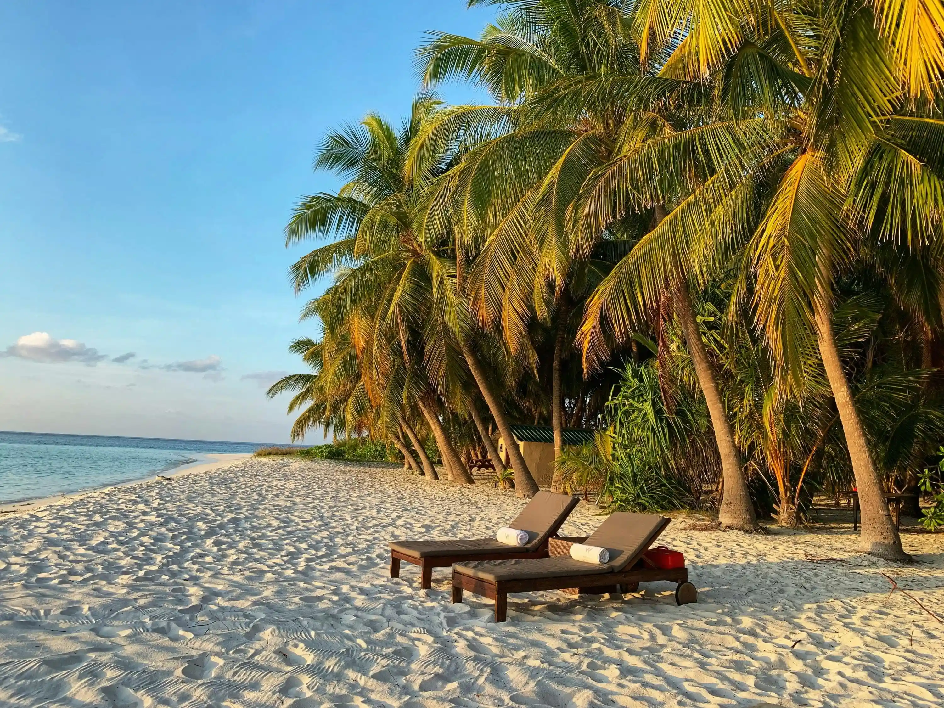 Honeymoon packages for couples